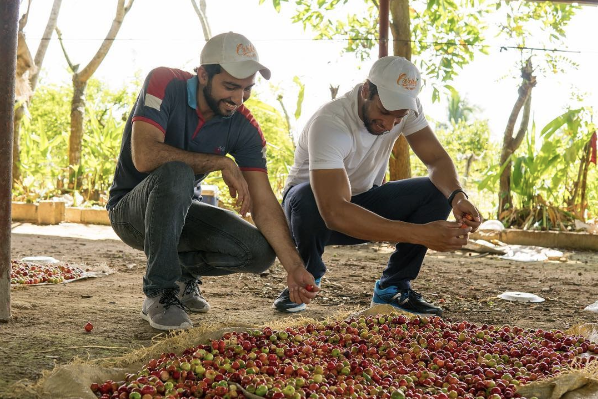 Best Practices for Selecting Ingredients That Scale