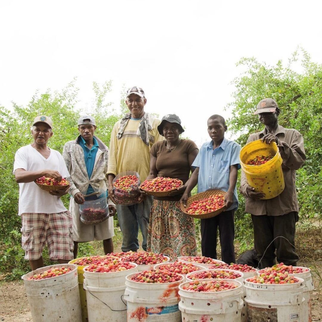 Dominican Republican Farmers Organic Juice Beverage Product Launch Washington DC Black Minority Owned Business Compress.jpg