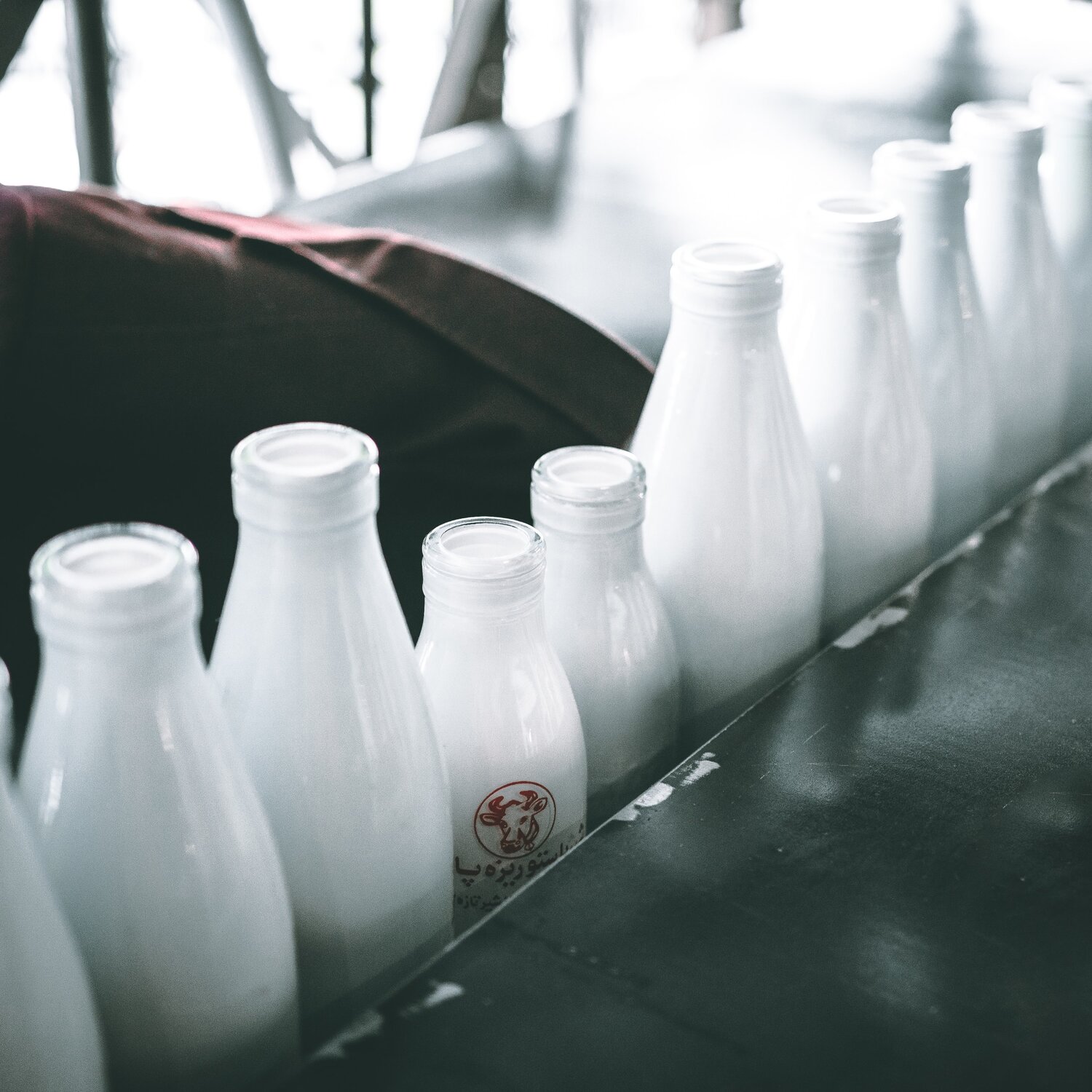 Milk Pasteurization