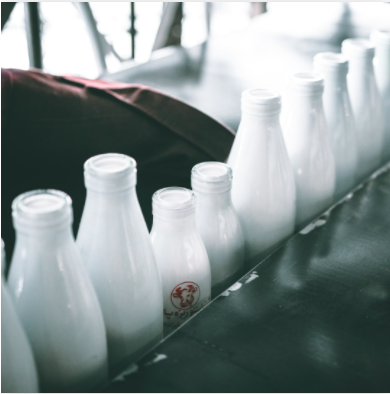 Bacteria, a French Scientist, and the History of Pasteurization
