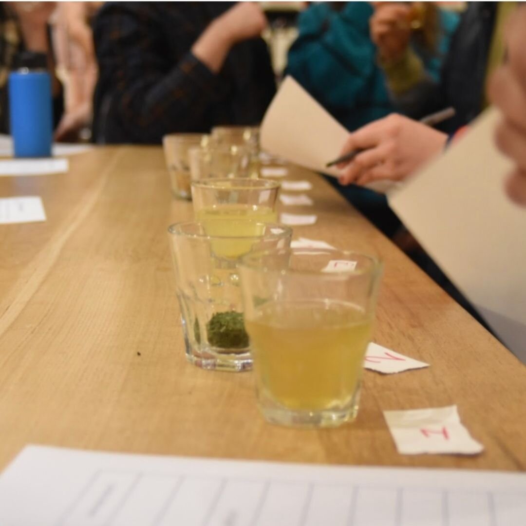 A Tea Cupping in the Compass Roastery