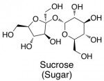 Sugar-Molecule-e1294196081462.jpg